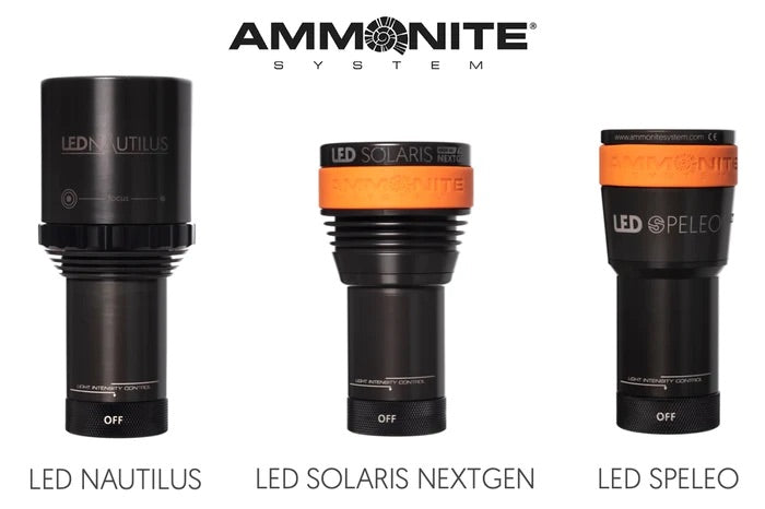 Ammonite Torches Light Heads Compared