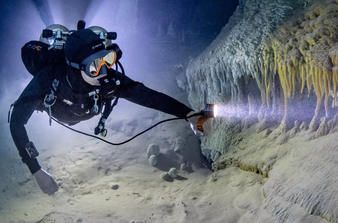 Primary Dive Lights