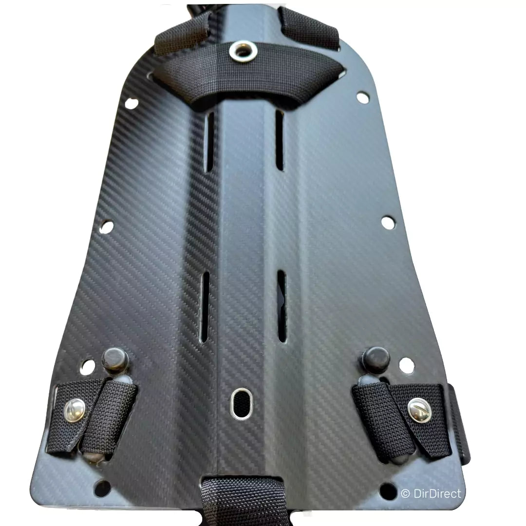 Halcyon Carbon Pro Backplate Back