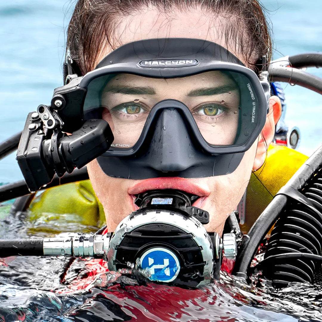 Halcyon Symbios HUD Computer