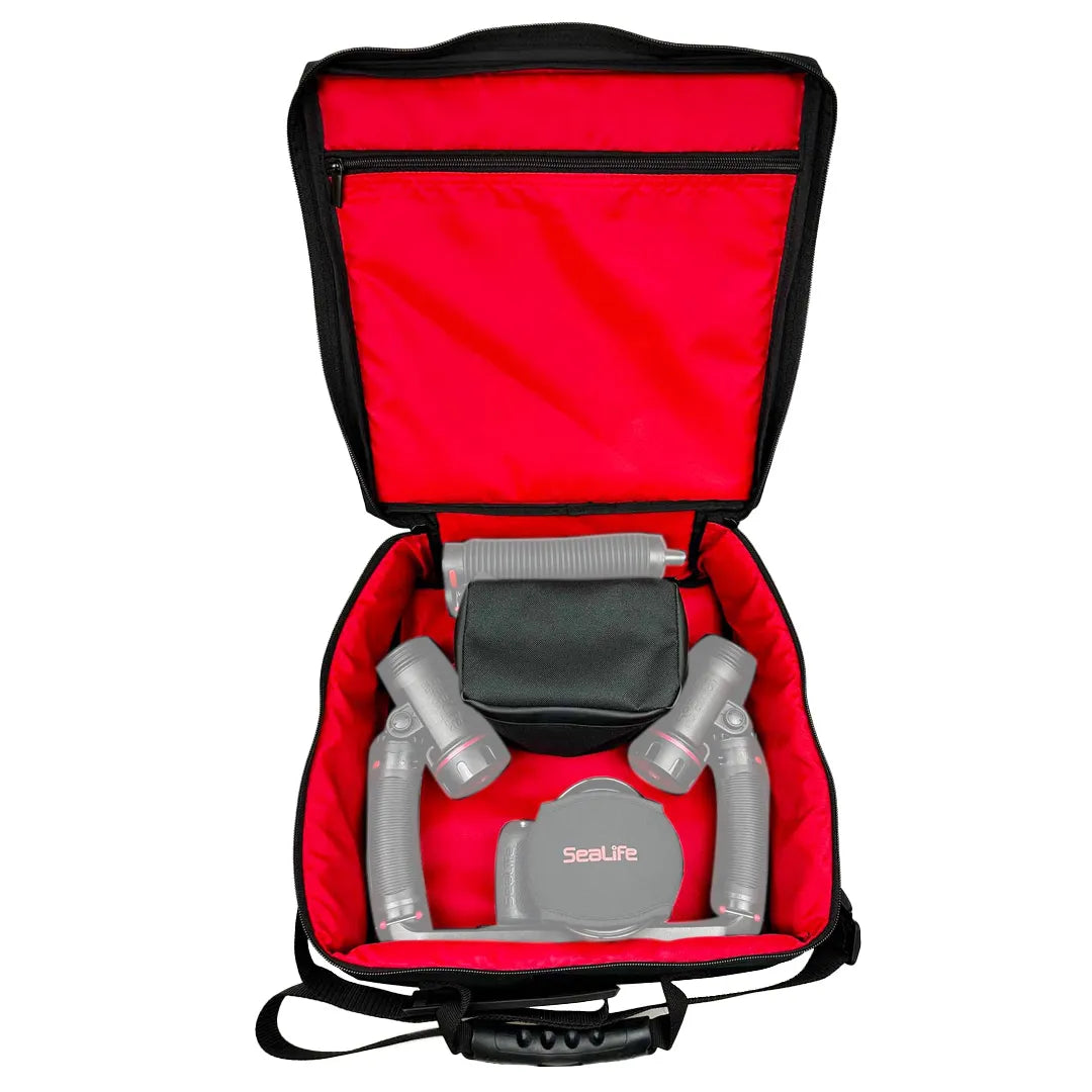 SeaLife Pro Duo Case