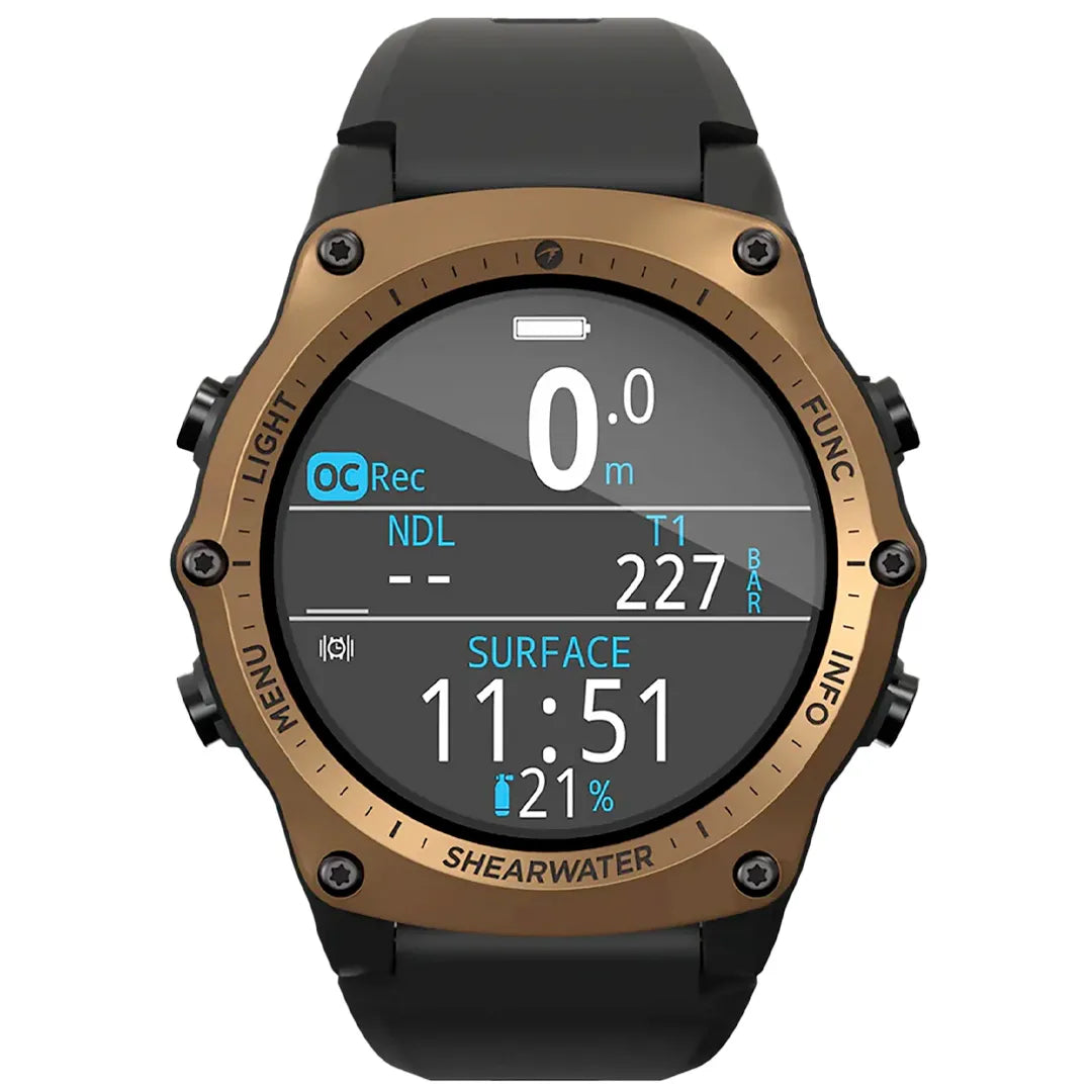 Bronze Shearwater Teric