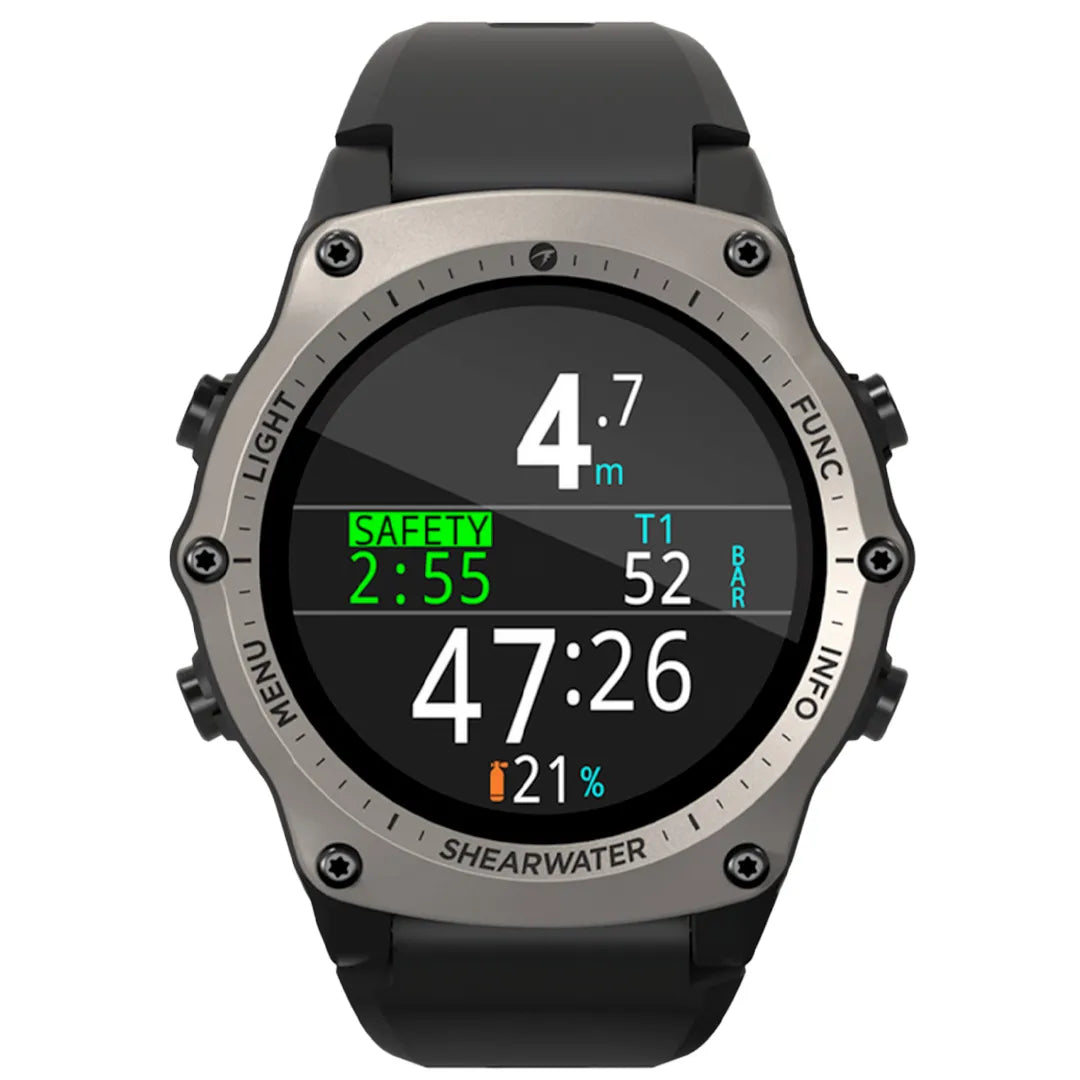 Silver Shearwater Teric