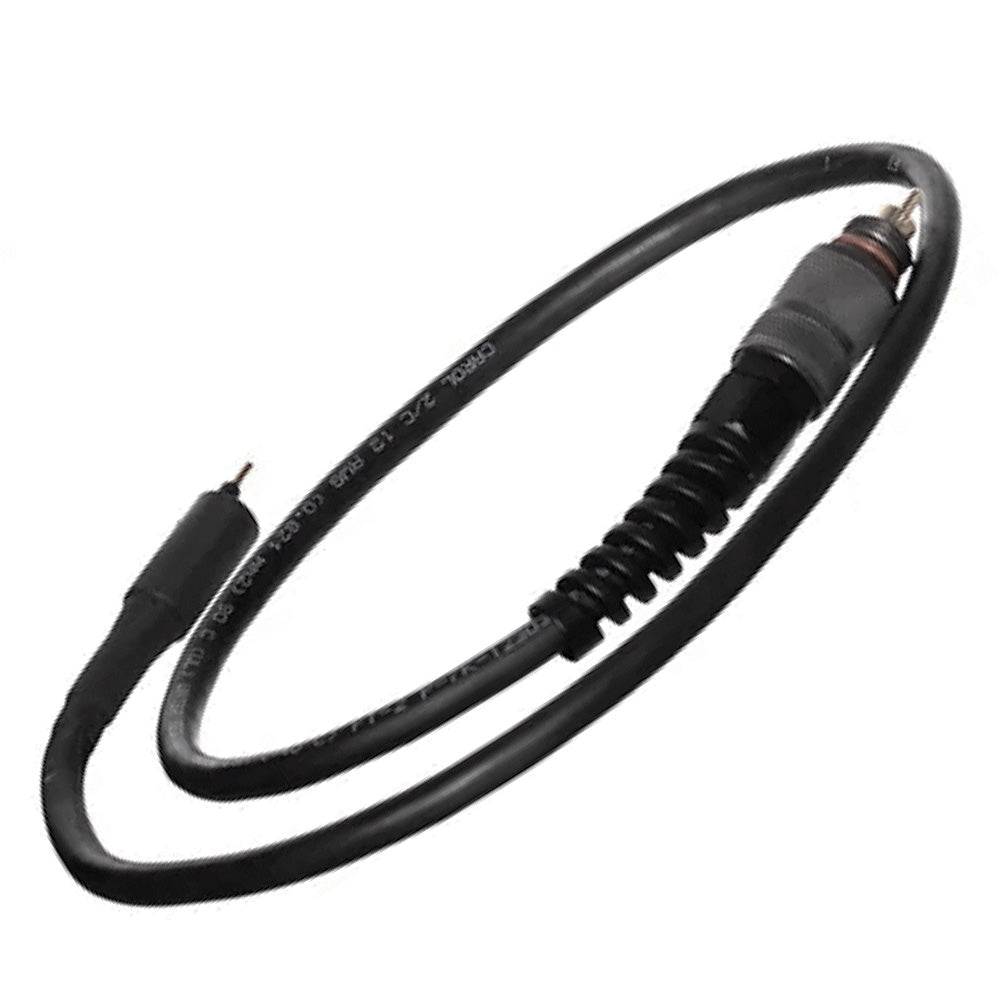 Ammonite e/o Light Cable