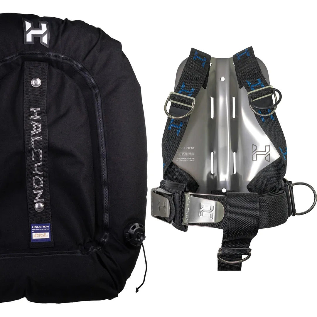 Halcyon Evolve Wing with Cinch Harness