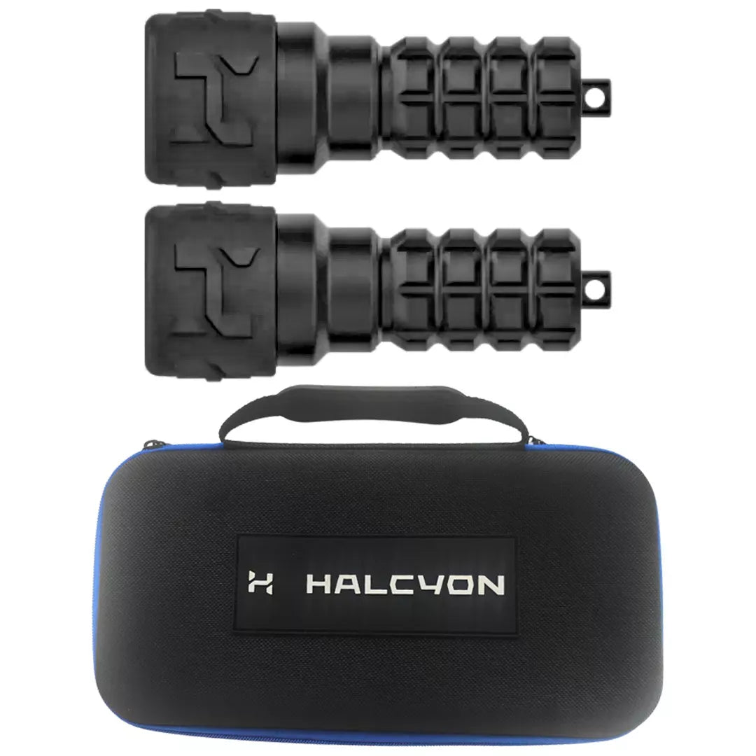 Halcyon Photon Light Kit - 2 x Mini Photon - DirDirect