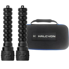Halcyon Standard Photon Lights with Case
