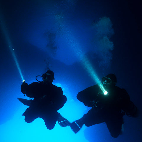 Primary dive lights