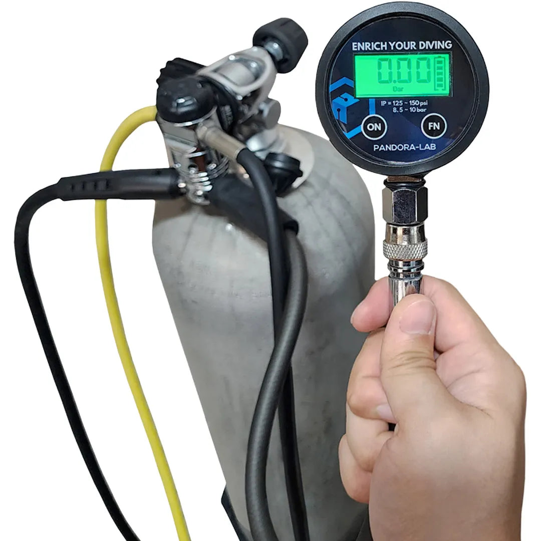 Pandora Lab Digital IP Gauge