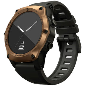 Bronze Shearwater Teric