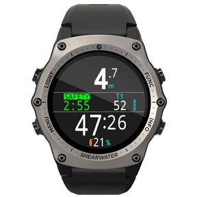 Silver Shearwater Teric