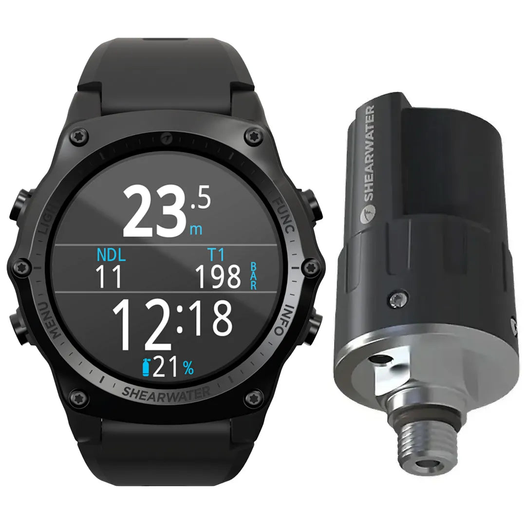 Black Shearwater Teric with Swift Transmitter